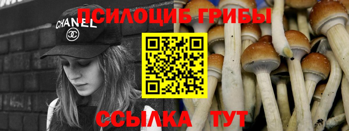 Галлюциногенные грибы мицелий  закладки  Лысьва  Вход с VPN 